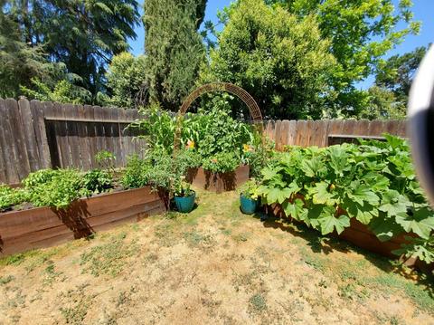 2100 Budd St, Modesto, CA 95350 photo 20