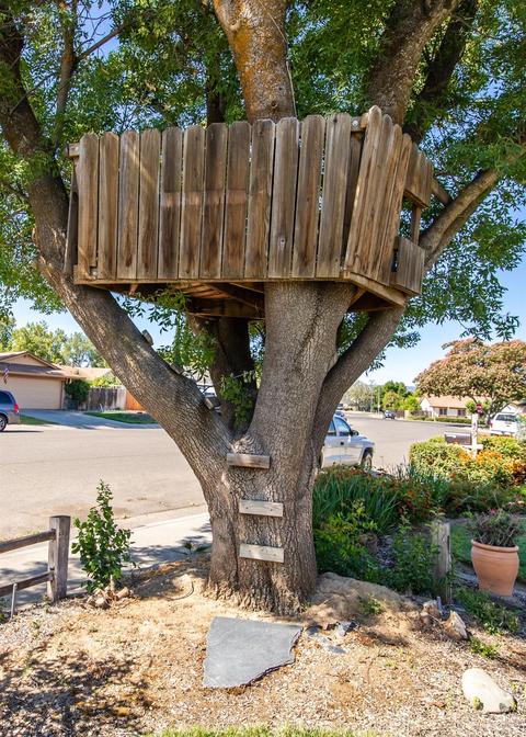 455 Abbey St, Winters, CA 95694 photo 7
