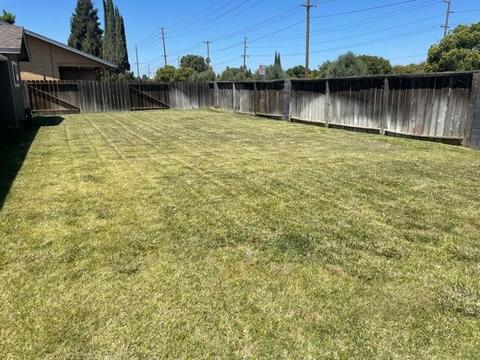 1901 Kendall Ave, Modesto, CA 95355 photo 22