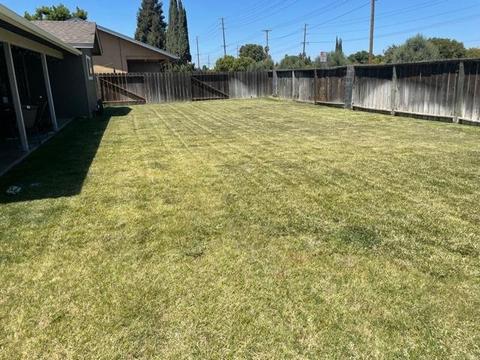 1901 Kendall Ave, Modesto, CA 95355 photo 23