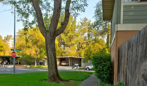 1811 Sycamore Ln, Davis, CA 95616 photo 30