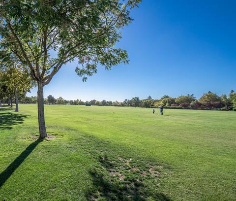 2900 Pole Line Rd #3, Davis, CA 95618 photo 38