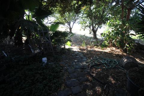 841 W Brannan Island Rd #4, Isleton, CA 95641 photo 11