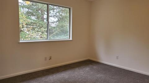 3900 Vistosa Ct, Davis, CA 95618 photo 39