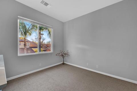 602 Ivy Loop, Winters, CA 95694 photo 63