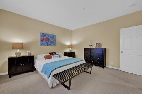 602 Ivy Loop, Winters, CA 95694 photo 46