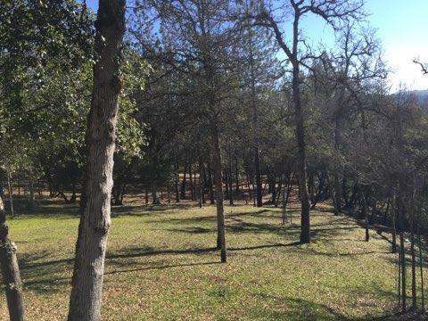 3527 Big Barn Rd, Placerville, CA 95667 photo 50