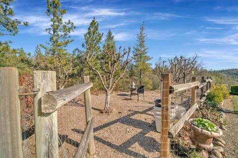 3527 Big Barn Rd, Placerville, CA 95667 photo 41