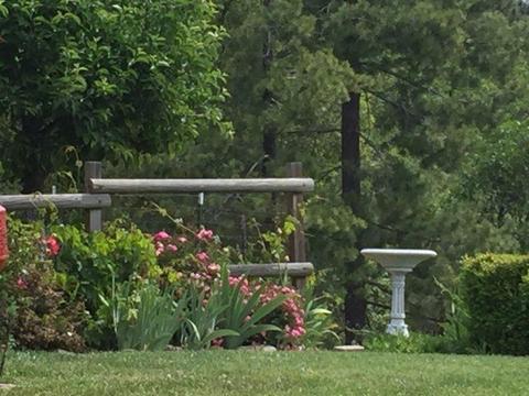 3527 Big Barn Rd, Placerville, CA 95667 photo 49