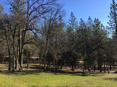 3527 Big Barn Rd, Placerville, CA 95667 photo 51
