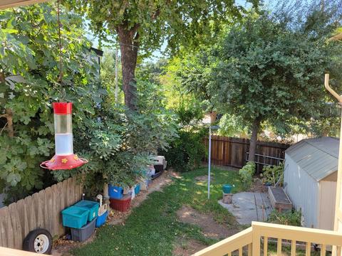 16078 Eucalyptus Dr, Isleton, CA 95641 photo 18