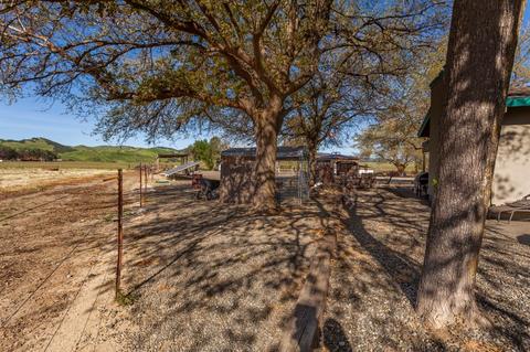 12460 County Road 84a, Capay, CA 95607 photo 13