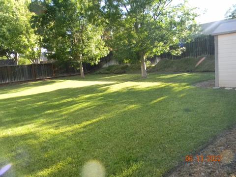 16664 Freeman St, Esparto, CA 95627 photo 5