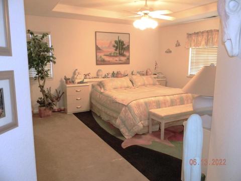 16664 Freeman St, Esparto, CA 95627 photo 24