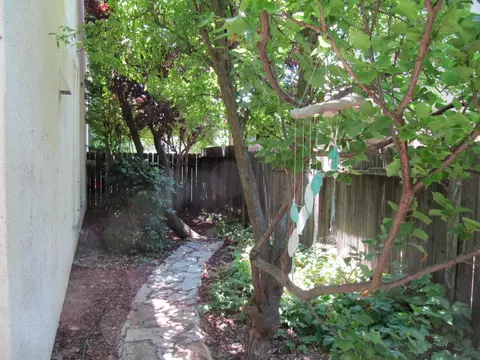 3615 Mono Pl, Davis, CA 95618 photo 36