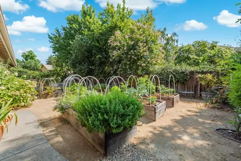 1007 Ohlone St, Davis, CA 95618 photo 79