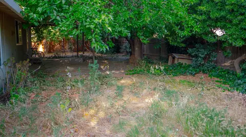 1701 Palm Pl, Davis, CA 95618 photo 8