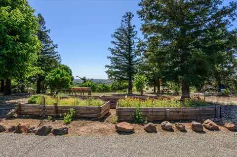 Exterior - 25837 County Road 34, Winters, CA 95694 photo 18 of 30