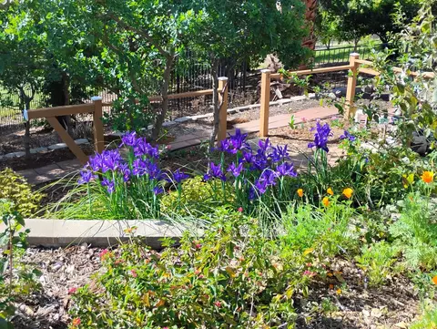 Other - 25837 County Road 34, Winters, CA 95694 photo 15 of 16
