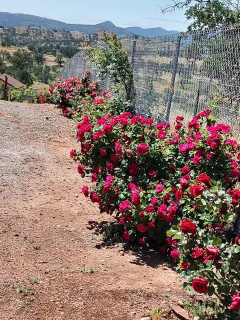 Other - 25837 County Road 34, Winters, CA 95694 photo 14 of 16