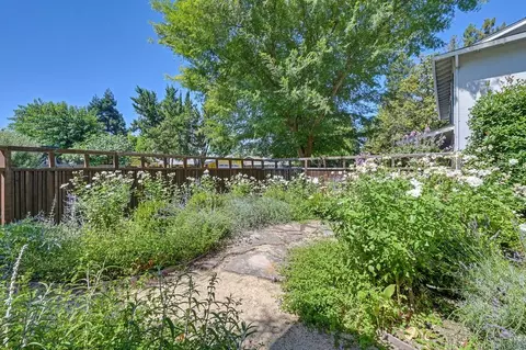 605 Cleveland St, Davis, CA 95616 photo 38