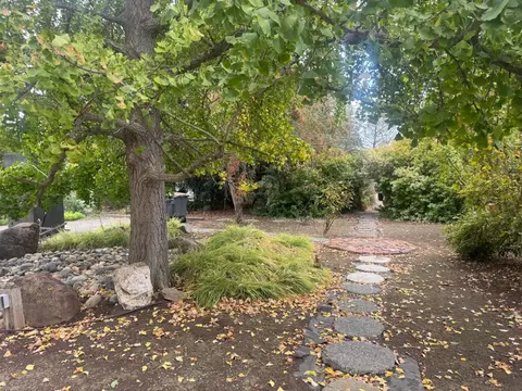 Exterior - 25397 County Road 96, Davis, CA 95616 photo 7 of 30