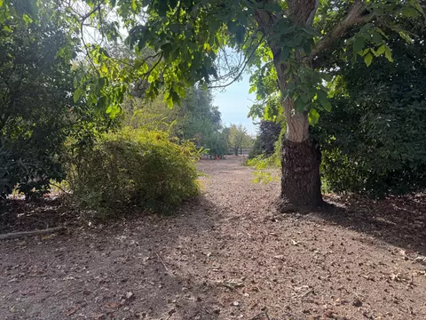 Exterior - 25397 County Road 96, Davis, CA 95616 photo 23 of 30