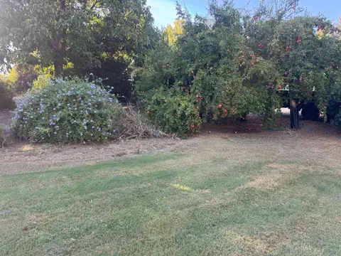 Exterior - 25397 County Road 96, Davis, CA 95616 photo 17 of 30