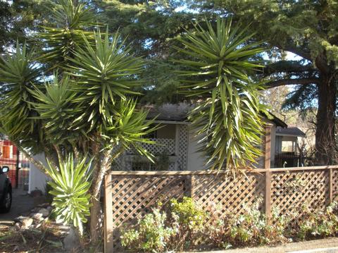 1156 Warren Ave, Vallejo, CA 94591 photo 28