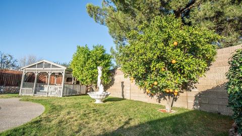 148 Genoa Ct, Vacaville, CA 95688 photo 34