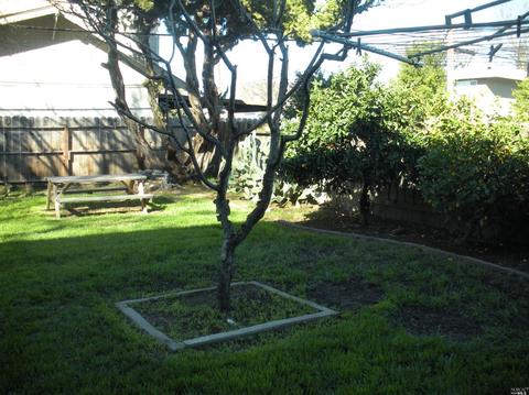 301 Tulip St, Fairfield, CA 94533 photo 40