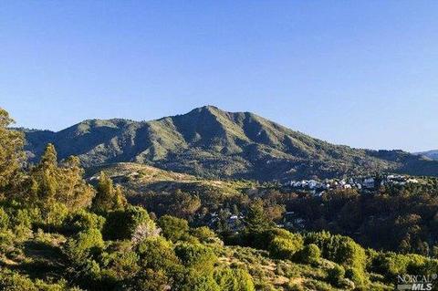 26 Lovell Ave, Mill Valley, CA 94941 photo 61
