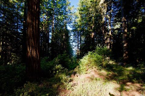 22029 Timber Cove Rd, Jenner, CA 95450 photo 1