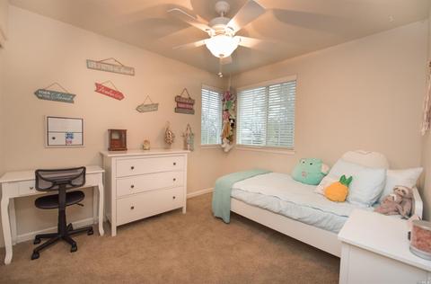 8408 Trione Cir, Windsor, CA 95492 photo 26