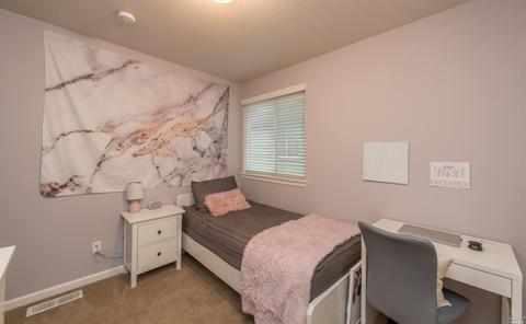8408 Trione Cir, Windsor, CA 95492 photo 24