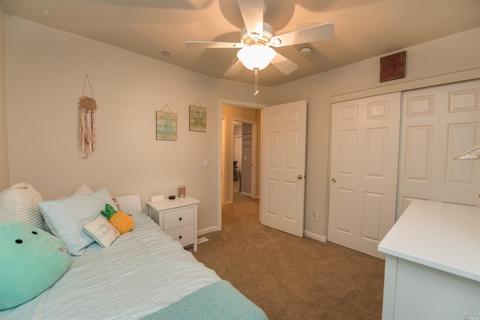 8408 Trione Cir, Windsor, CA 95492 photo 27