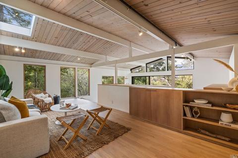 314 Rydal Ave, Mill Valley, CA 94941 photo 21