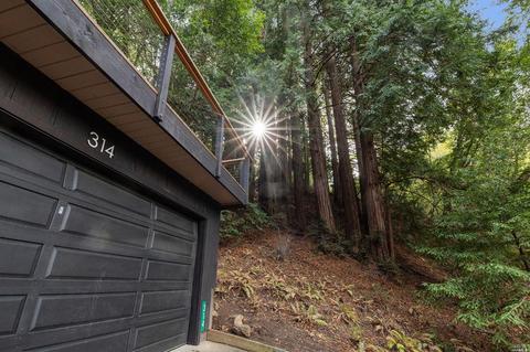 314 Rydal Ave, Mill Valley, CA 94941 photo 45