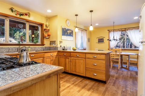 3651 Low Gap Rd, Ukiah, CA 95482 photo 8