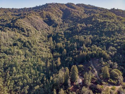 3651 Low Gap Rd, Ukiah, CA 95482 photo 46