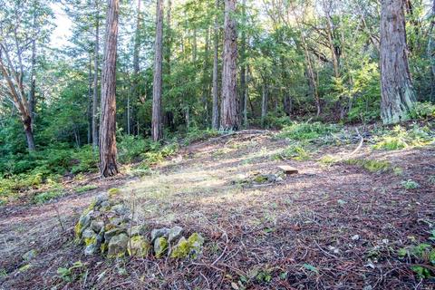 3651 Low Gap Rd, Ukiah, CA 95482 photo 33