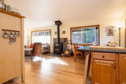 3651 Low Gap Rd, Ukiah, CA 95482 photo 36