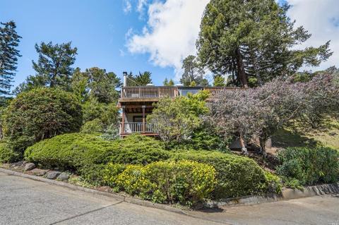 306 Ashton Ln, Mill Valley, CA 94941 photo 35