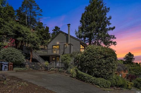306 Ashton Ln, Mill Valley, CA 94941 photo 34