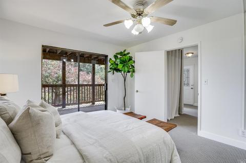 306 Ashton Ln, Mill Valley, CA 94941 photo 29
