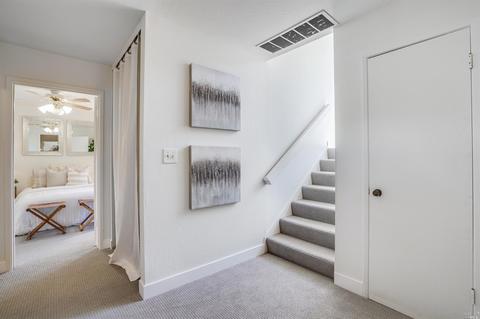 306 Ashton Ln, Mill Valley, CA 94941 photo 23