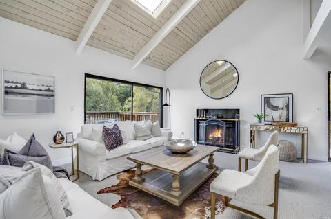 306 Ashton Ln, Mill Valley, CA 94941 photo 3