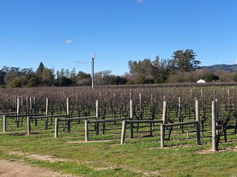 21115 Hyde Rd, Sonoma, CA 95476 photo 5