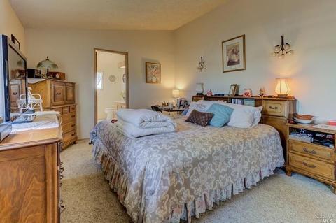 4860 Jaybee Ln, Winters, CA 95694 photo 36