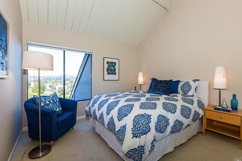 314 Durant Way, Mill Valley, CA 94941 photo 26